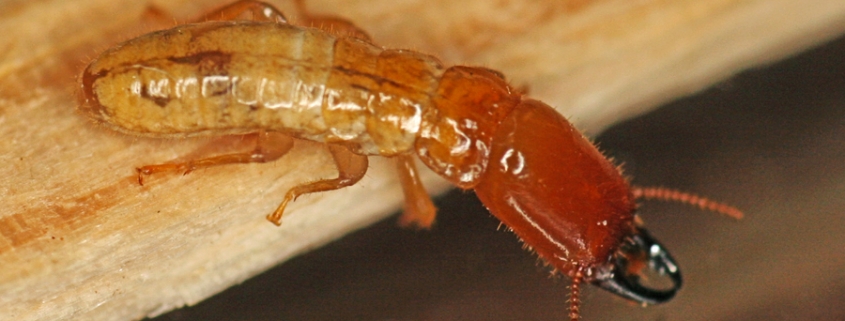 04b7f45fc693b4ebe5ae38480a899f